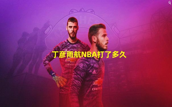 丁彦雨航NBA打了多久