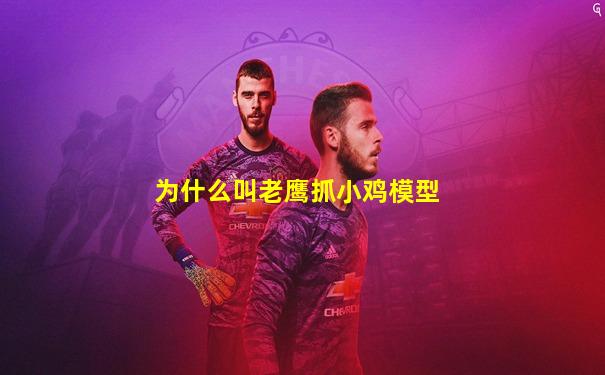 为什么叫老鹰抓小鸡模型