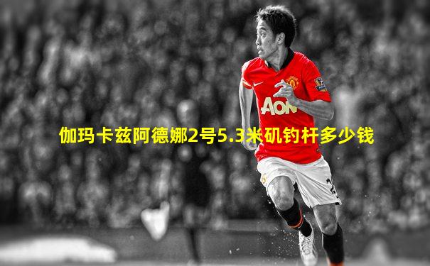 伽玛卡兹阿德娜2号5.3米矶钓杆多少钱