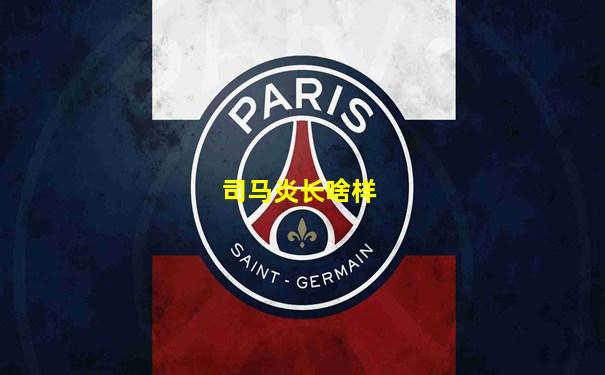 司马炎长啥样