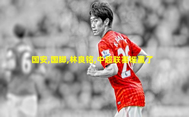 国安,国脚,林良铭,中超联赛谁赢了