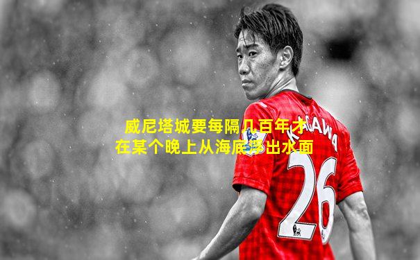 威尼塔城要每隔几百年才在某个晚上从海底浮出水面
