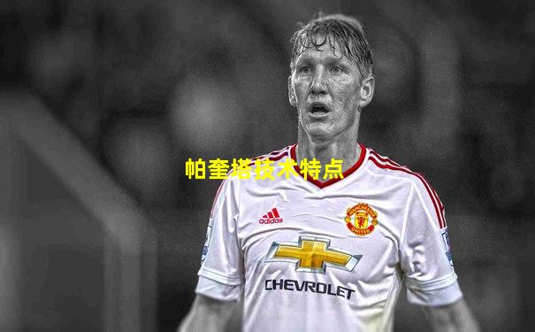 帕奎塔技术特点