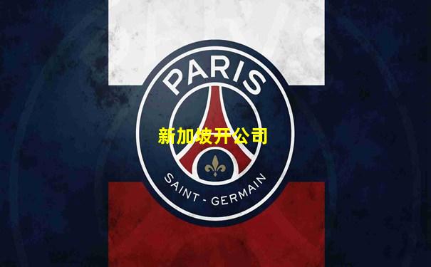 新加坡开公司