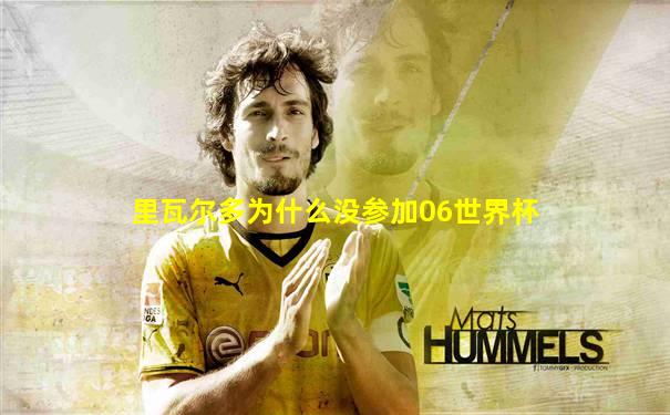 里瓦尔多为什么没参加06世界杯